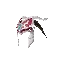 Seraphim Helm